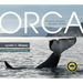 Orca: Shared Waters, Shared Home