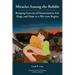 Miracles Among the Rubble: Bringing Convoys of Humanitarian Aid, Hugs, and Hope to a War-torn Region