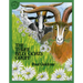 The Three Billy Goats Gruff