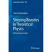 Sleeping Beauties in Theoretical Physics: 26 Surprising Insights