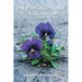 The Ethical Divorce: A Psychoanalyst's Guide to Separation, Divorce and Childcare