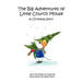 The Big Adventures of Little Church Mouse: A Christmas Story