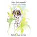 Into the Woods: The healing power of birds