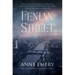Fenian Street: A Mystery