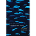 Sharks in the Rivers