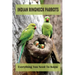 Indian Ringneck Parrots: Everything You Need To Know: Fun Facts About Indian Ringneck