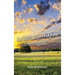 God Lights My Way: I Am Born Again!