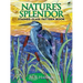 Nature's Splendor Stained Glass Pattern Book
