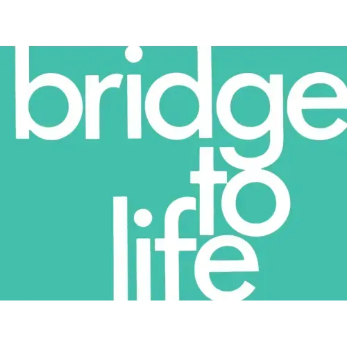 Bridge to Life (Green) 25-Pack
