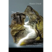 The Sensing Body in the Visual Arts: Making and Experiencing Sculpture