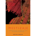 Mestizaje: Remapping Race, Culture, and Faith in Latina/O Catholicism