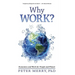 Why Work?: Economics and Work for People and Planet