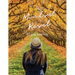 Mindset Reset: 90 Day Journey