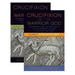 The Crucifixion of the Warrior God: Interpreting the Old Testament's Violent Portraits of God in Light of the Cross, Volume 1 & 2