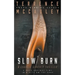 Slow Burn: A Charlie Doherty Thriller