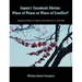 Japan's Yasukuni Shrine: Place of Peace or Place of Conflict? Regional Politics of History and Memory in East Asia
