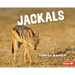 Jackals: Nature's Cleanup Crew