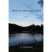 Under an Adirondack Moon
