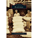 Flatonia