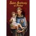 Saint Anthony of Padua: Our Franciscan Friend