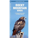 Rocky Mountain Birds: An Introduction to Familiar Species
