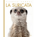La Suricata