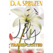 Lily Transplanted