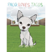 Paco Loves Tacos