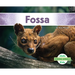 Fossa
