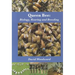 Queen Bee: Biology, Rearing and Breeding