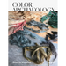 Beatriz Morales: Color Archaeology
