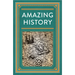 Amazing History