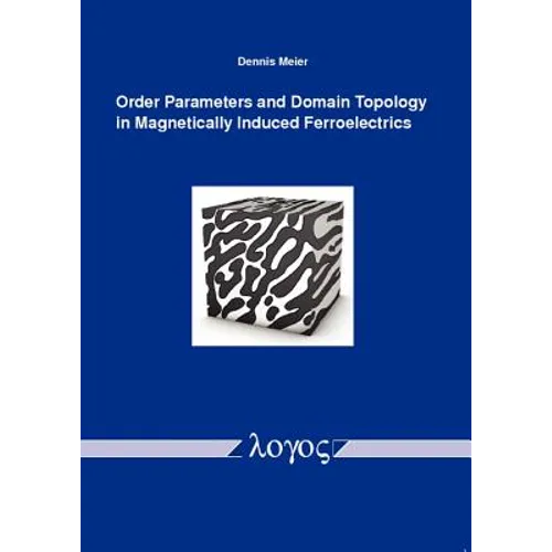 Order Parameters and Domain Topology in Magnetically Induced Ferroelectrics