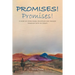Promises! Promises!: A story of overcoming deception and tragedy through faith in Christ.