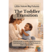 Little Voices Big Futures - The Toddler Transition