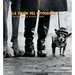 La Visión del Fotógrafo: Entender Y Apreciar La Buena Fotografía