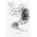 Murmuration: Marianne's Book