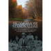 Big Sycamore Stands Alone: The Western Apaches, Aravaipa, and the Struggle for Place Volume 1