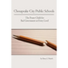 Chesapeake City Public Schools: The Poster Child for Bad Government at Every Level