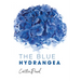 The Blue Hydrangea