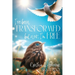 I've Been Transformed: But Now, I'm Free