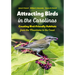 Attracting Birds in the Carolinas: Creating Bird-Friendly Habitats from the Mountains to the Coast