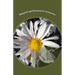Bilingual Legal Dictionary for Interpreters: English-Spanish LEGAL Glossary