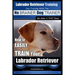 Labrador Retriever Training Dog Training with the No BRAINER Dog TRAINER We Make it THAT Easy!: How To EASILY TRAIN Your Labrador Retriever