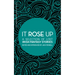 It Rose Up: A Selection of Lost Irish Fantasy Stories