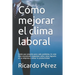 Cómo mejorar el clima laboral: Existe una solución para cada problema. En este libro encontrará respuestas sobre cómo lograrlo en su empresa y elevar