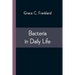 Bacteria in Daily Life