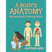 A Body's Anatomy: Human Body Coloring Book