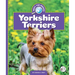 Yorkshire Terriers