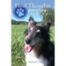 Final Thoughts From A Dying Zen Dog